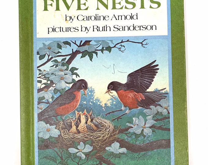 Five Nests~Caroline Arnold~Ruth Sanderson/Illustrations~Very Good~1980~Stated First Edition~First Printing~Rare~Free Shipping