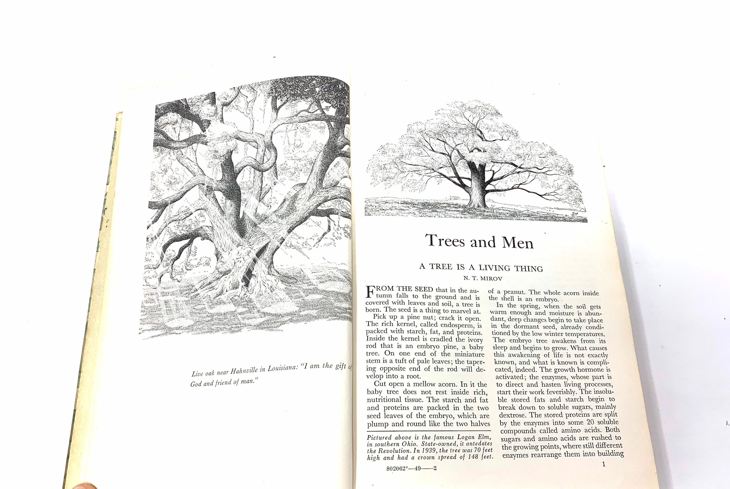 TreesThe Yearbook of Agriculture1949CollectibleGood ConditionFree Shipping