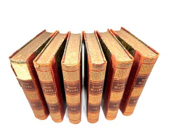 Sampliche Werke~Heinrich Heinz~1886~German Language~Stephan Born~Gebruder Kroner Publisher~Very Rare~Very Good Condition~Free Shipping