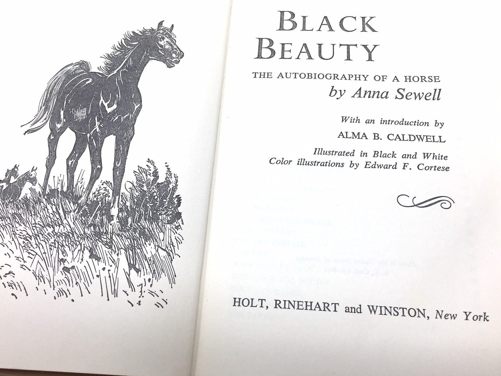 black beauty by anna sewell black beauty by anna sewell
