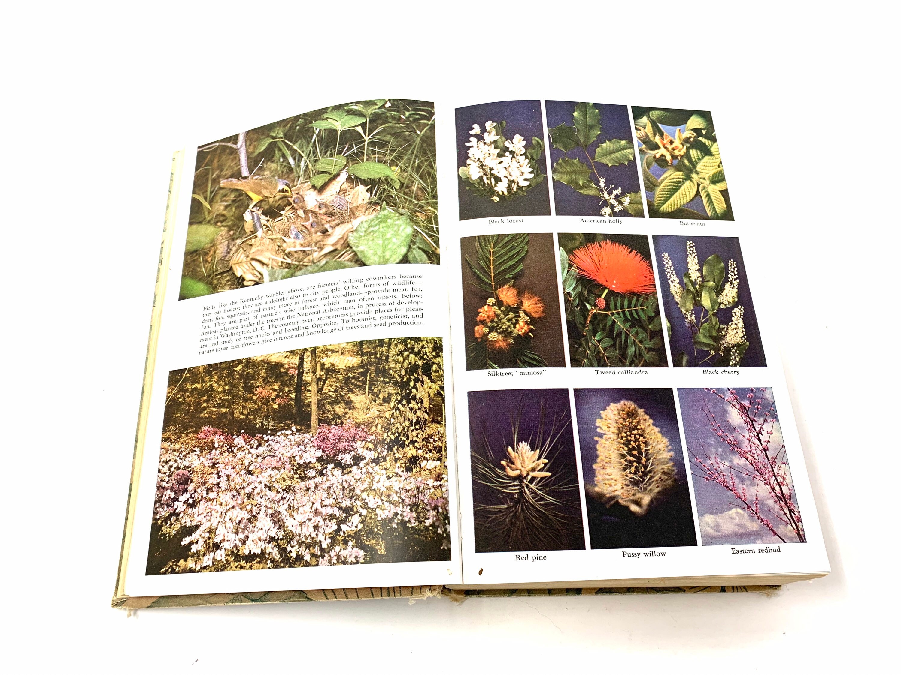 TreesThe Yearbook of Agriculture1949CollectibleGood ConditionFree Shipping