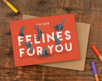 Felines For You A6 Greetings Card / Plastic Free Valentine's Day Card / Humorous Love Card / Funny Card For Girlfriend or Boyfriend