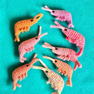 Mystery Shrimp Plush | Blind Bag Shrimp Plushies