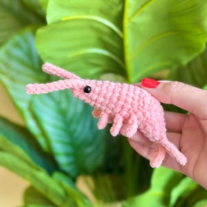 Squishy Shrimp Crochet Plushies | Chenille Shrimp Amigurumi