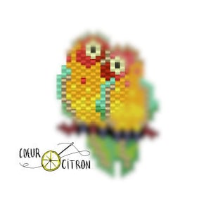 Puede incluir: Dos periquitos amarillos con picos rojos y ojos negros están posados en una rama verde. Los pájaros se miran y parecen estar abrazándose. La rama está decorada con pequeñas hojas verdes.