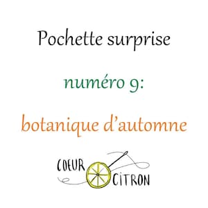 Peut inclure: Un citron jaune avec une aiguille et du fil qui le traversent. Le texte "COEUR CITRON" est écrit en noir et orange. Le texte "Pochette surprise numéro 9: botanique d'automne" est écrit en noir, vert et orange.