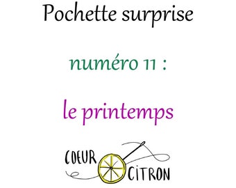 Pochette surprise numéro 11: le printemps