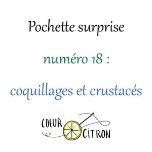 May include: A hand-drawn illustration of a lemon with a needle and thread going through it. The text "COEUR CITRON" is written in cursive above and below the lemon. The text "Pochette surprise numéro 18: coquillages et crustacés" is written in French above the lemon.