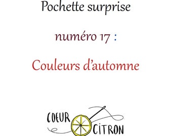 Pochette surprise numéro 17: couleurs d'automne