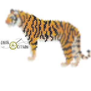 Peut inclure: Un tigre en perles avec des rayures orange, noires et blanches. Le tigre est debout sur un fond blanc. Les mots "COEUR CITRON" sont écrits en noir et blanc sur le côté gauche de l'image.