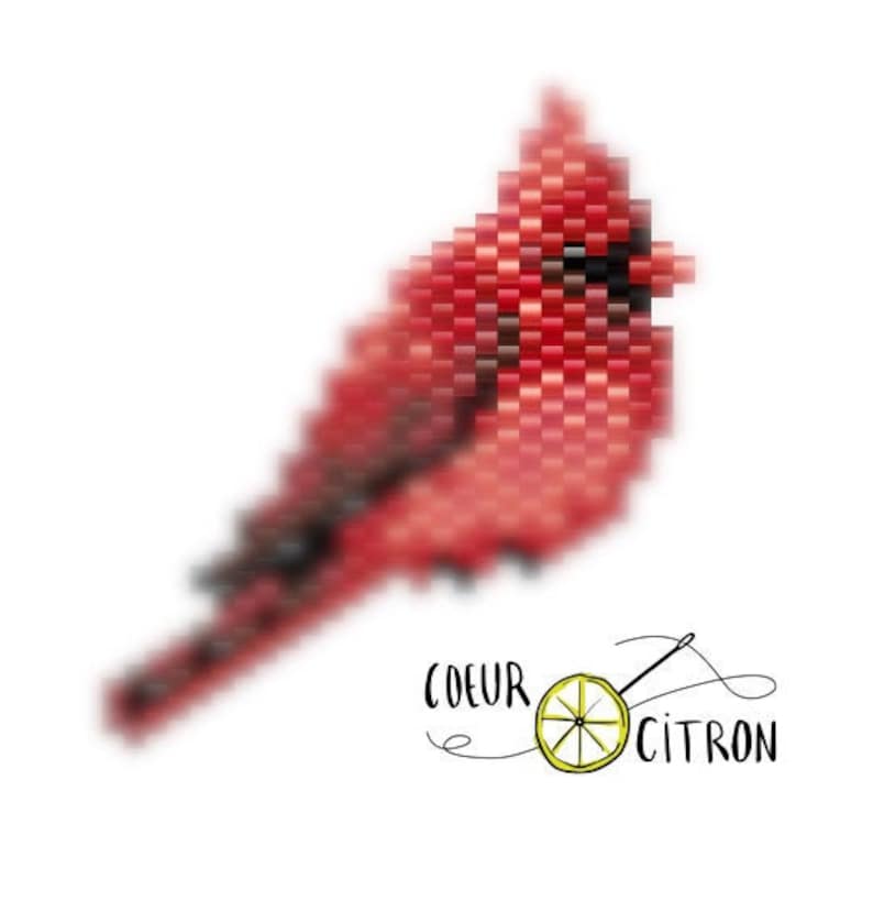 Puede incluir: Un dise&ntilde;o pixelado de un p&aacute;jaro cardenal rojo. El ave est&aacute; compuesta por peque&ntilde;os p&iacute;xeles cuadrados en tonos de rojo y negro. La imagen incluye el texto "COEUR CITRON" con un lim&oacute;n y una aguja.
