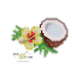 Diagram brickstitch beads miyuki coconut and hibiscus grnad pattern
