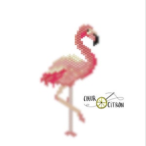 Puede incluir: Un flamenco rosa con un cuello largo y patas largas de pie sobre una sola pierna. El flamenco es una imagen pixelada.