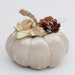 see more listings in the Halloween Pumpkins section