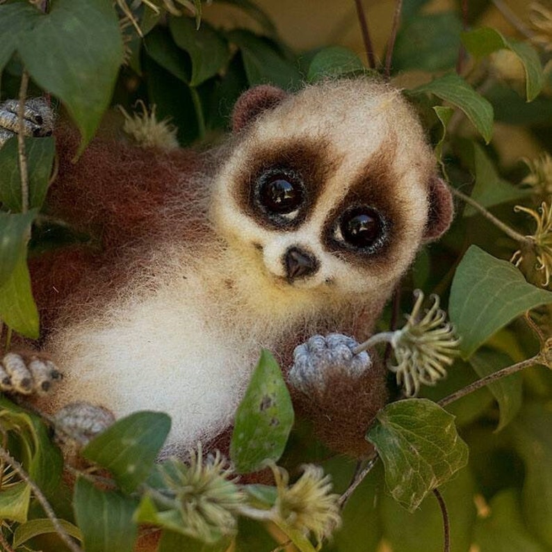 Needle felted slow loris Cute pygmy slow loris Realistic poseable toy loris Fluffy brown primate figurine OOAK little felted tropical animal image 1