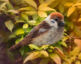 Naaldvilte broche «Sparrow» Kleine bruine stadsvogel Wolmuspin Landvogelbroche Originele cadeaupin voor vrouwen Unieke hoedaccessoire