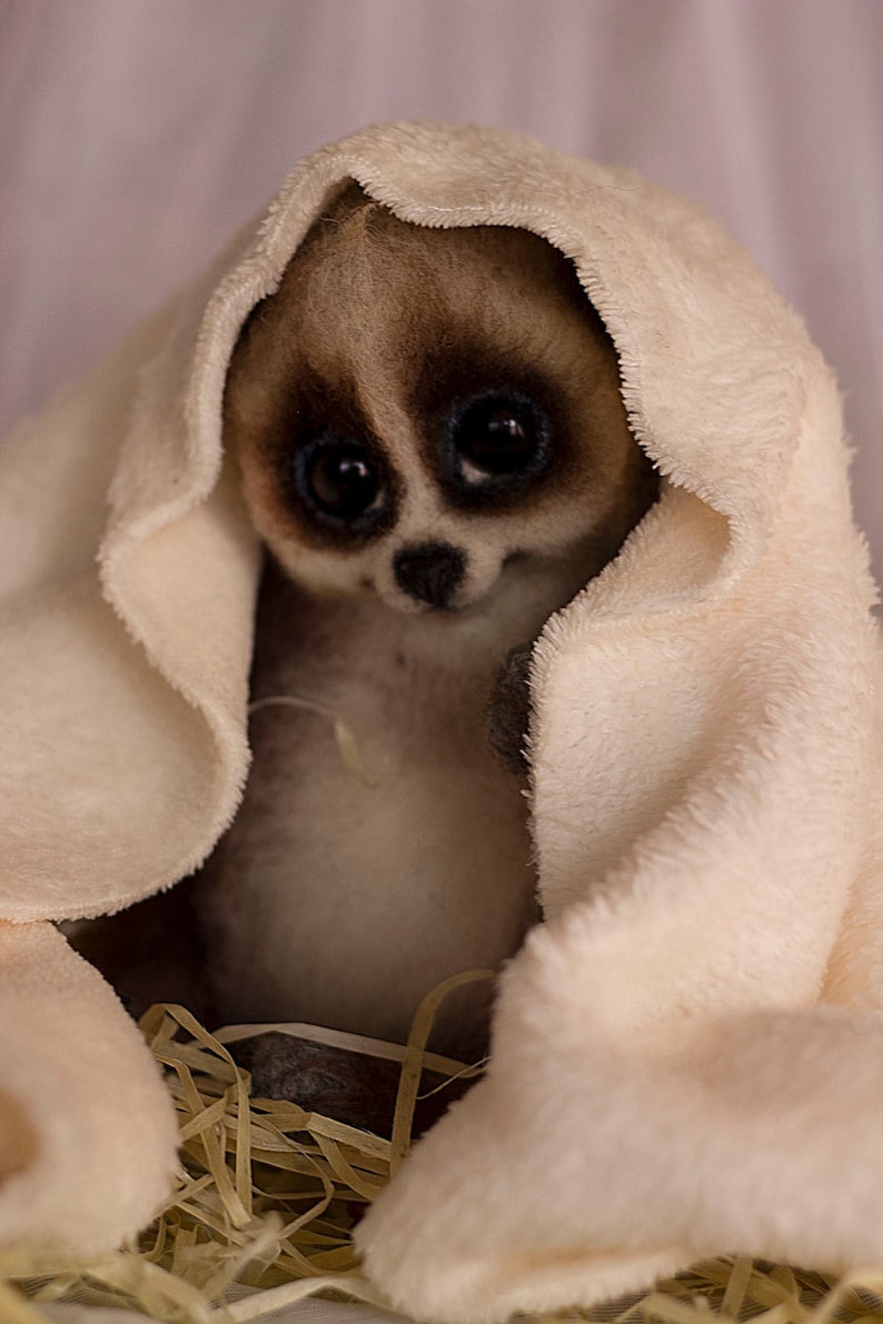 Needle felted slow loris Cute pygmy slow loris Realistic poseable toy loris Fluffy brown primate figurine OOAK little felted tropical animal image 2