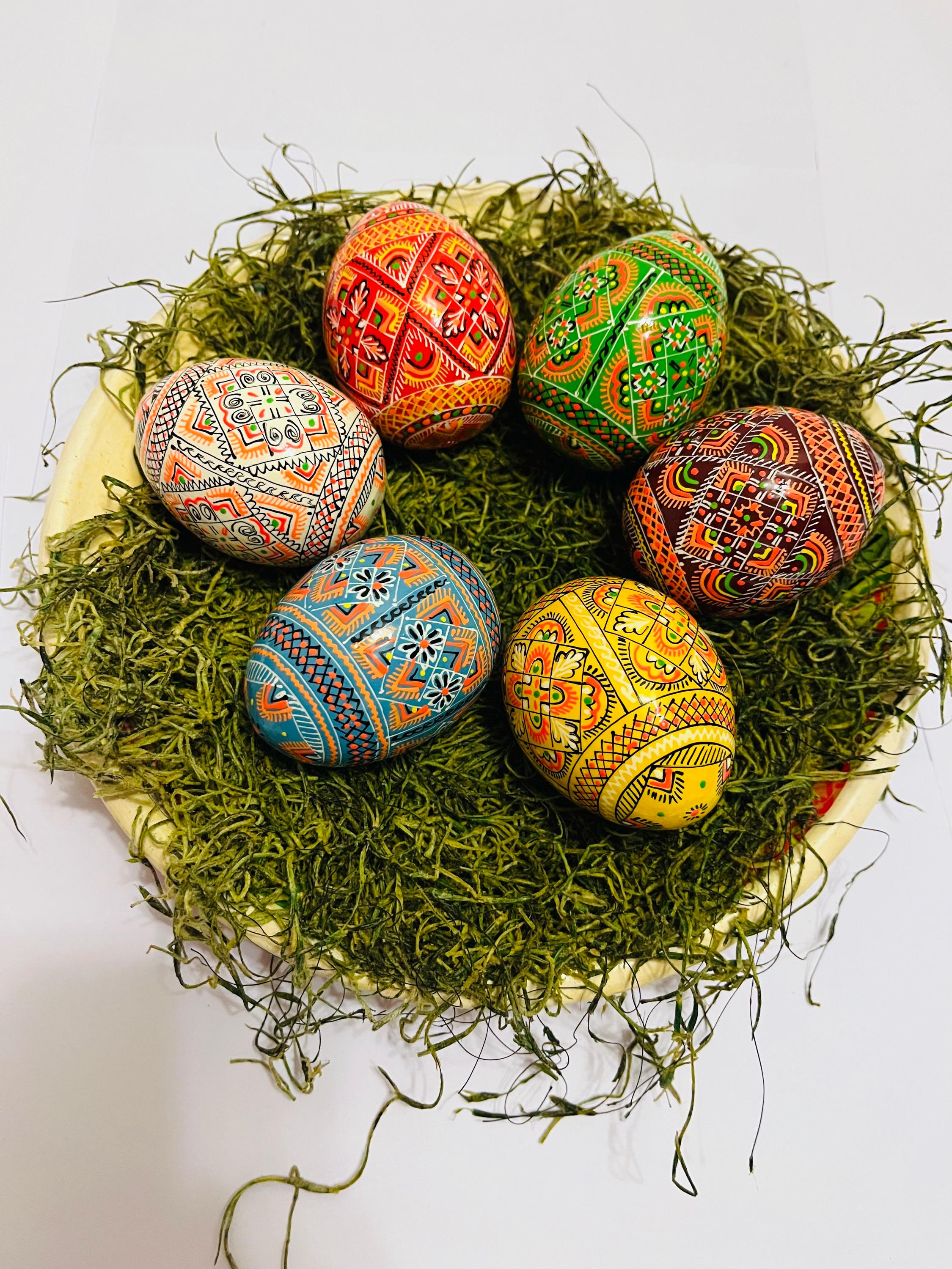 Emu egg - Etsy 日本