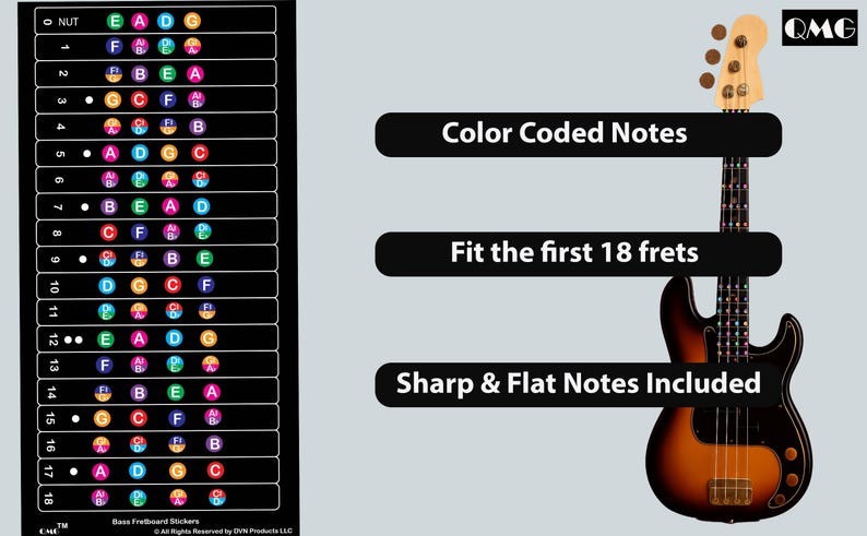 QMG Bass Fretboard Stickers, Color Coded Note Decals for 4-string Bass ...