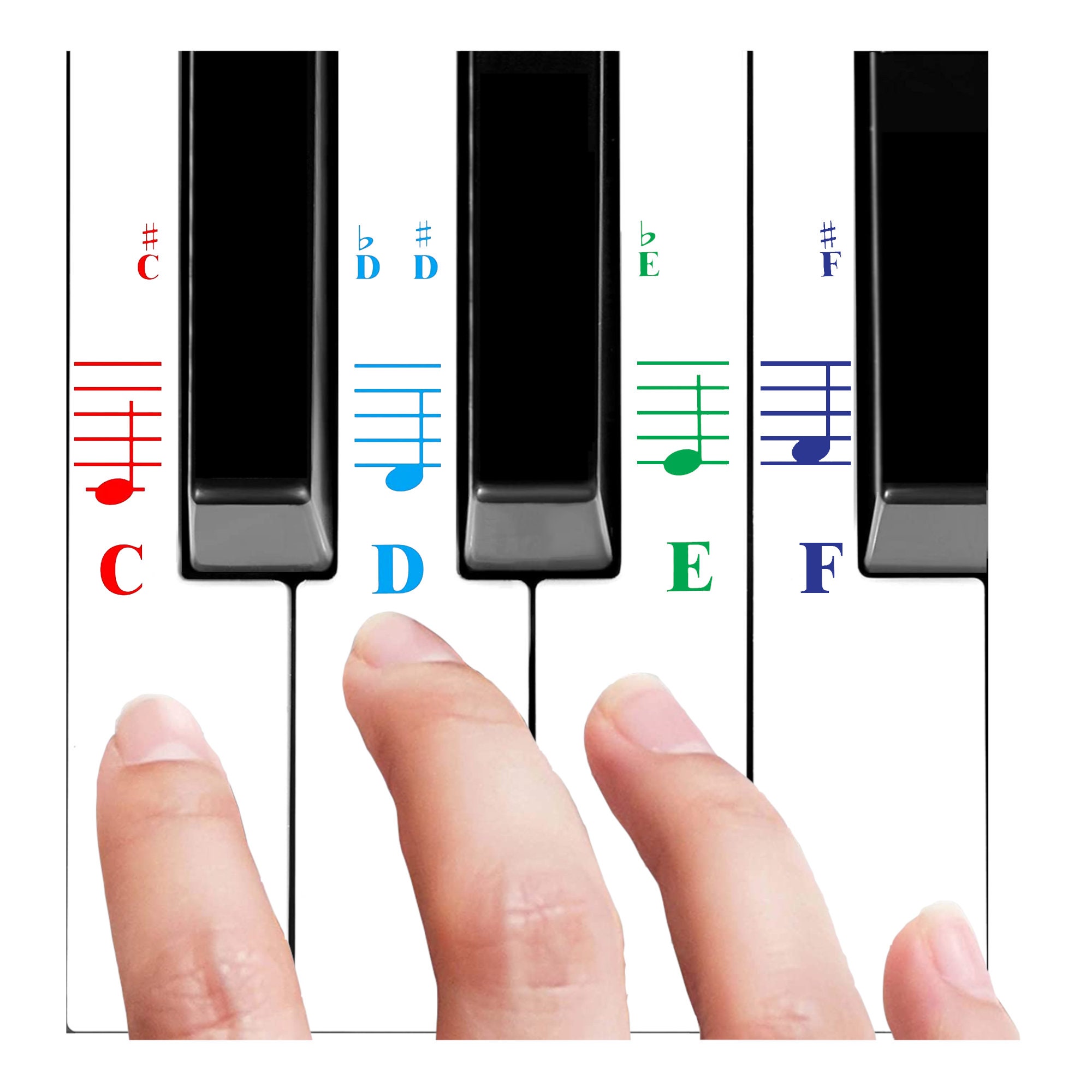 Autocollants de piano couleur pour claviers 49/61/76/88 touches  Transparents et amovibles : fabriqués aux États-Unis. -  France