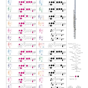 Flute Fingering Chart with Color-Coded Notes, Learn Flute Technique Suitable for All Levels, Made in the USA