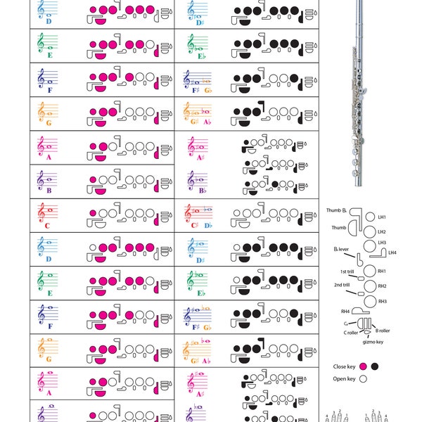 Flute Fingering Chart with Color-Coded Notes, Learn Flute Technique Suitable for All Levels, Made in the USA