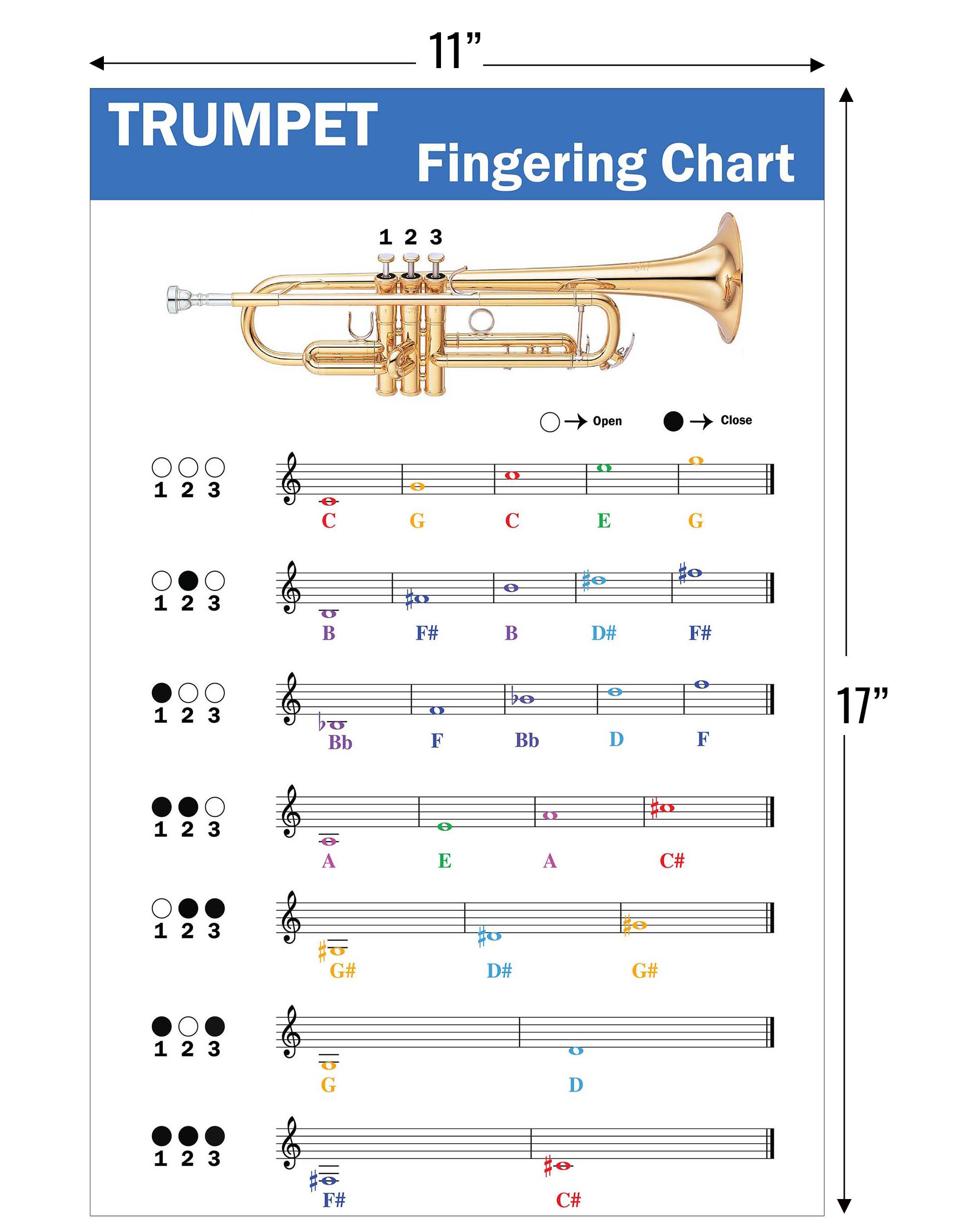 Trumpet Fingering Chart With Color-coded Notes, Learn Trumpet Technique ...