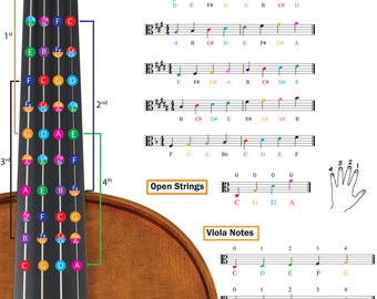 Tableau des doigtés d'alto avec notes codées par couleur, techniques de gammes d'alto adaptées à tous les niveaux, fabriqué aux États-Unis