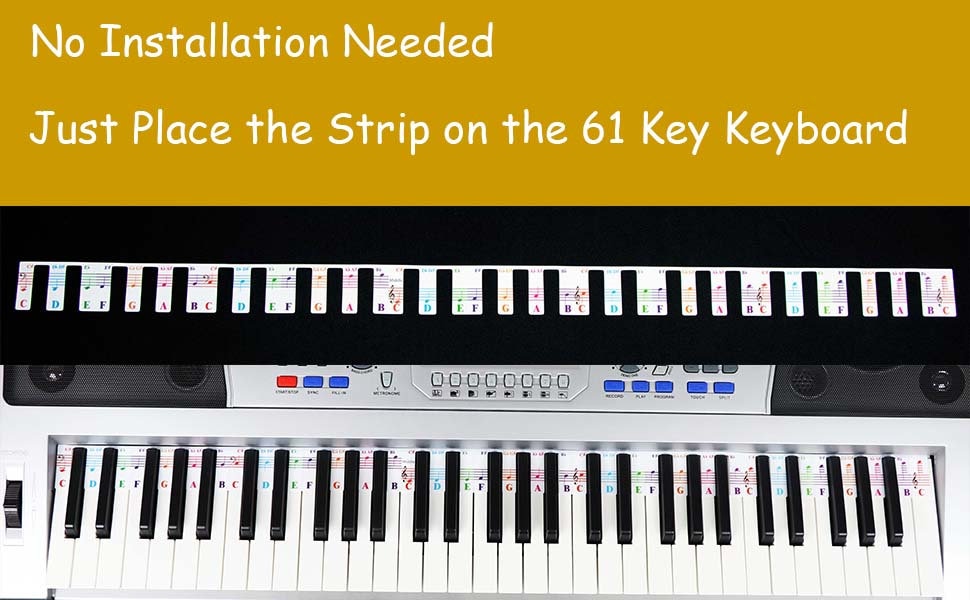61 Key Full Size Piano Rake Key Colorful Piano Keyboard Notes Etsy