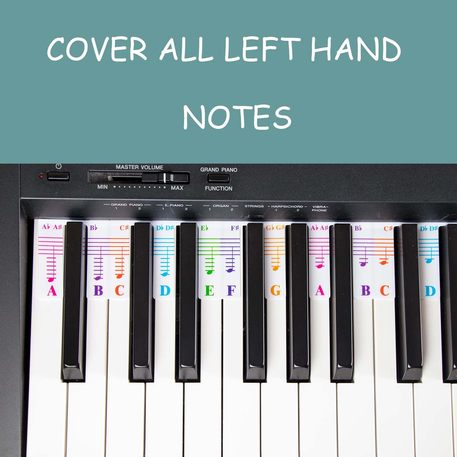 Colorful Piano Keyboard Notes for Beginner, Removable Note