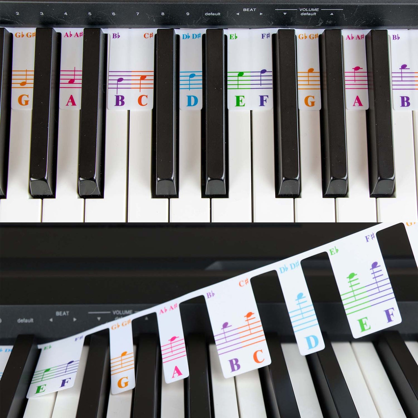 Colorful Piano Keyboard Notes for Beginner, Removable Note Labels for ...