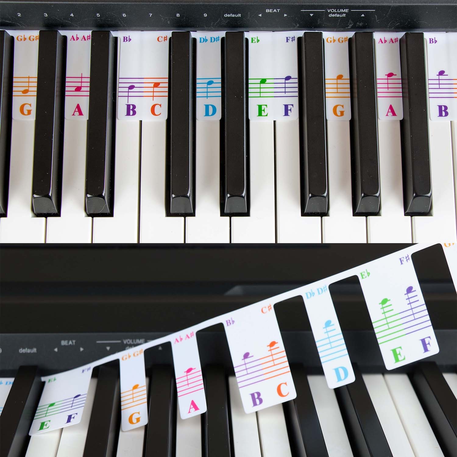 Acheter Autocollant Transparent de Note de Piano, pour clavier 37