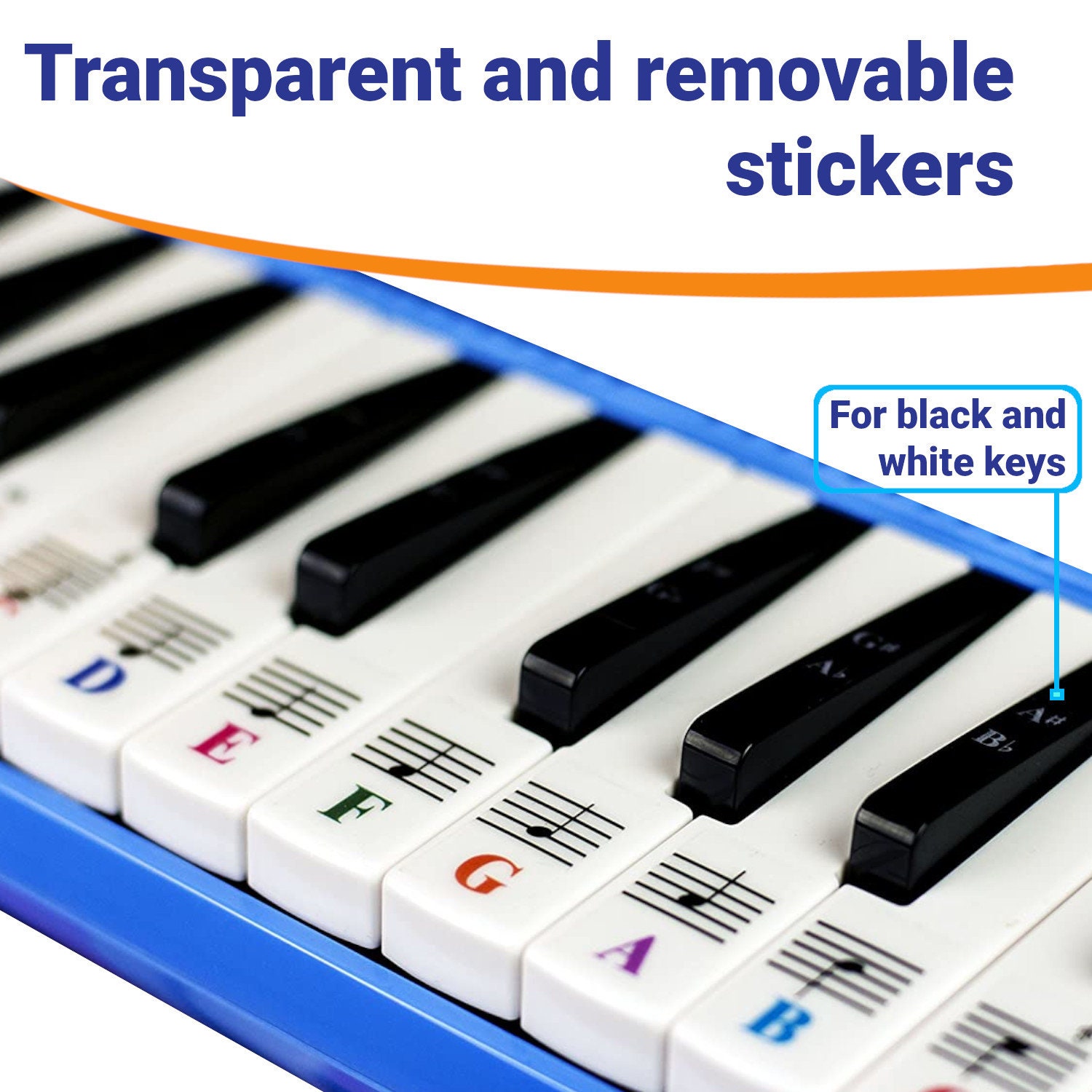 Autocollants pour piano pour 32/37 Key Melodica-Transparent et Amovible  avec Free Piano Ebook -  France