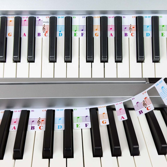 Buy 61 Key Full Size Piano Rake Key, Colorful Piano Keyboard Notes for  Beginner Online in India 