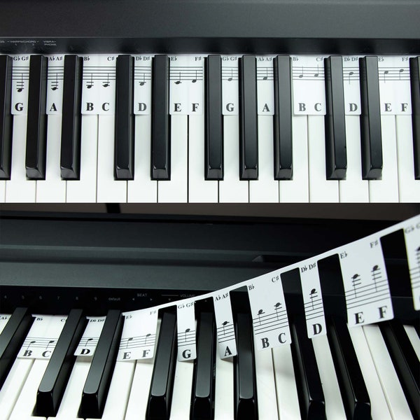 88 Key Full Size Piano Rake Key Label, Piano Keyboard Notes for Beginner