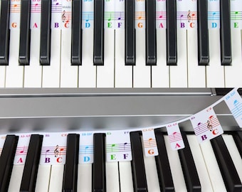 QMG Colorful Piano Keyboard Notes for Beginner, Removable Note Labels for Learning, 61 Key Full Size Piano Rake Key, Reusable
