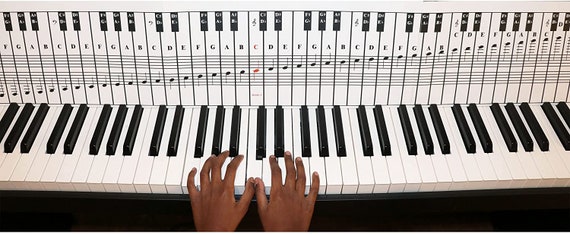Étiquettes de Notes pour clavier de Piano, 88 touches/61 touches