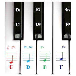QMG Piano Stickers for Keys, Colorful Piano Keyboard Stickers for 49/61/76/88 Key
