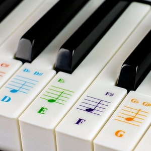 Farbige Klavier Aufkleber für 49/61/76/88 Tasten Keyboards - Transparent und Ablösbar: Hergestellt in den USA