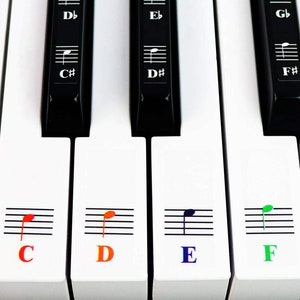 QMG Color Piano Keyboard Music Note Full Set Stickers for White and Black Keys
