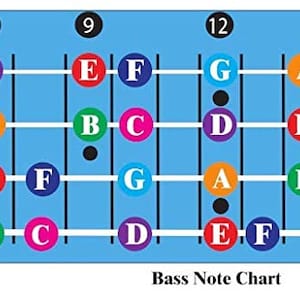 Bass Guitar Fretboard Note Chart, Learn to Play Guitar and Music Theory, Suitable for all, Made in USA