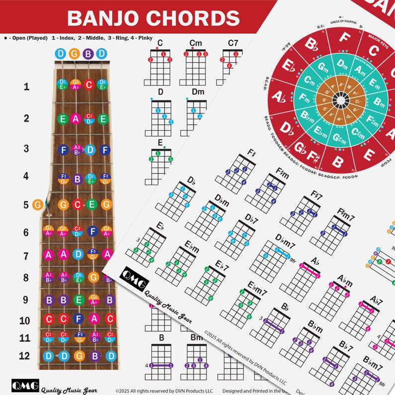 QMG Banjo Poster – Laminated A4 Music Theory Chart (8.5"x11") With ...