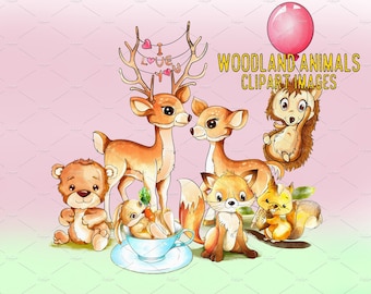 Akwarela Zwierzęta Leśne, Obrazy Clipart Leśne, Zwierzęta Leśne, Zwierzęta Leśne