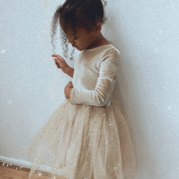 Long Sleeve Velvet Sparkly Tutu Dress