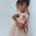 Pink Velvet Soft Tulle Dress