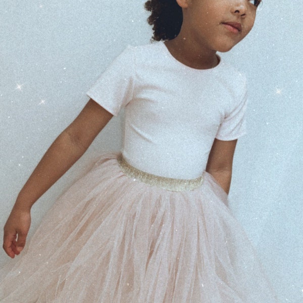 Handmade blush pink tulle tutu skirt