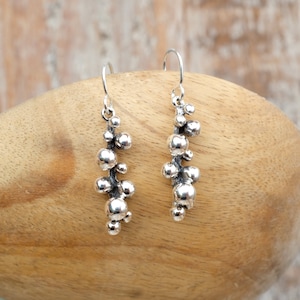 May include: A pair of silver dangle earrings featuring a cluster of small, round beads. The beads are arranged in a cascading pattern, creating a delicate and elegant look.