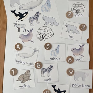 Arctic Animals Printable Set - Winter Printable - Arctic Animals Math - Arctic Animals Flash Cards