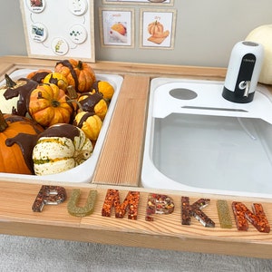 Pumpkin Life Cycle & Pumpkin Investigation-bundel