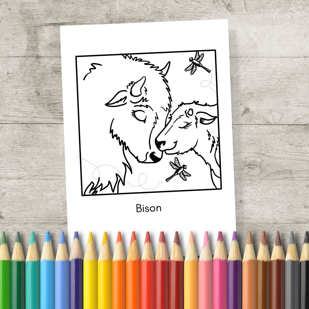 Bison Printable Colouring Sheet Etsy bison-printable-colouring-sheet-etsy